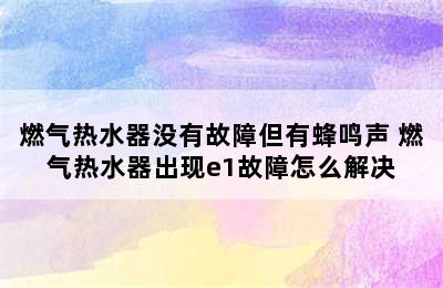 燃气热水器没有故障但有蜂鸣声 燃气热水器出现e1故障怎么解决